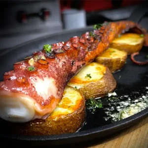 Tentaculo de Pulpo